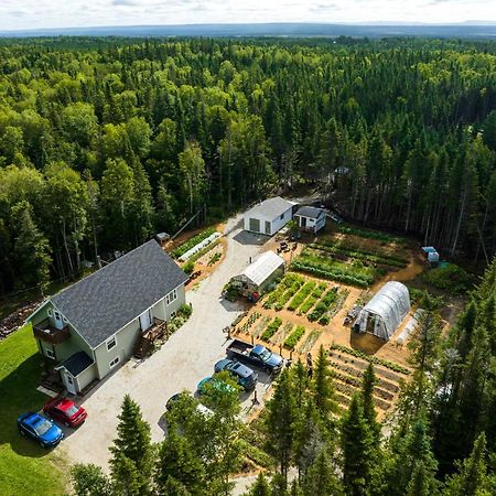 Upper Humber Settlement Bed and Breakfast Cormack Exteriör bild