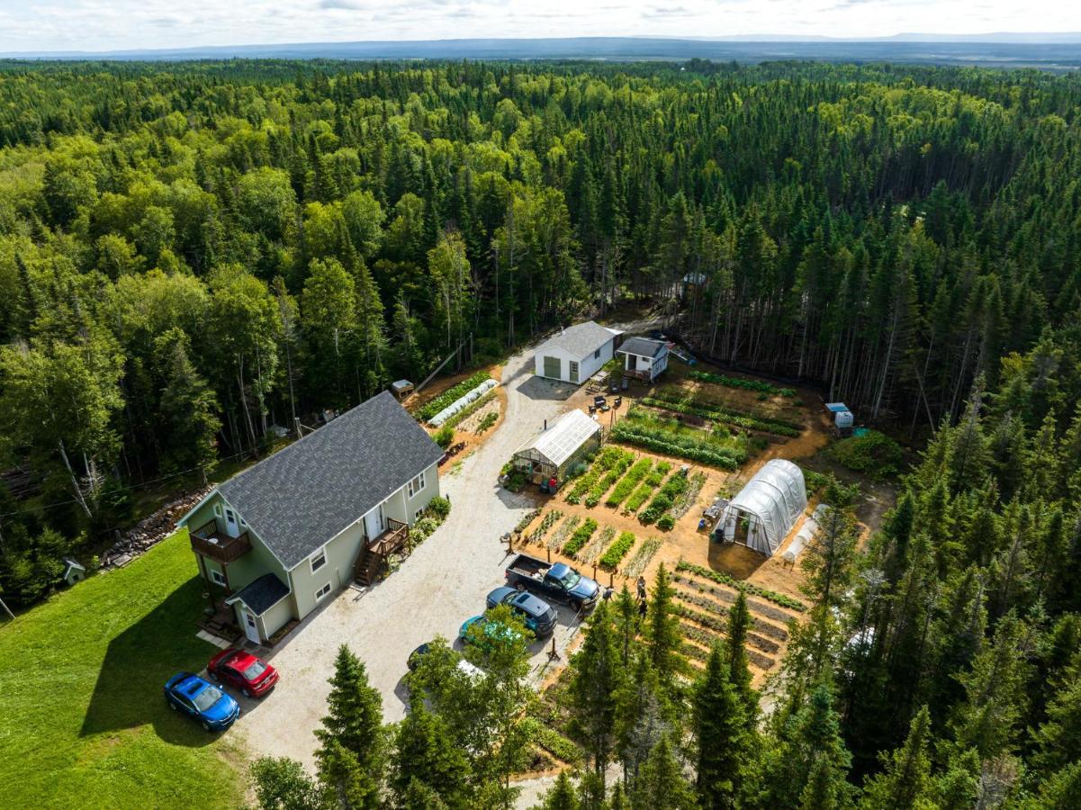 Upper Humber Settlement Bed and Breakfast Cormack Exteriör bild